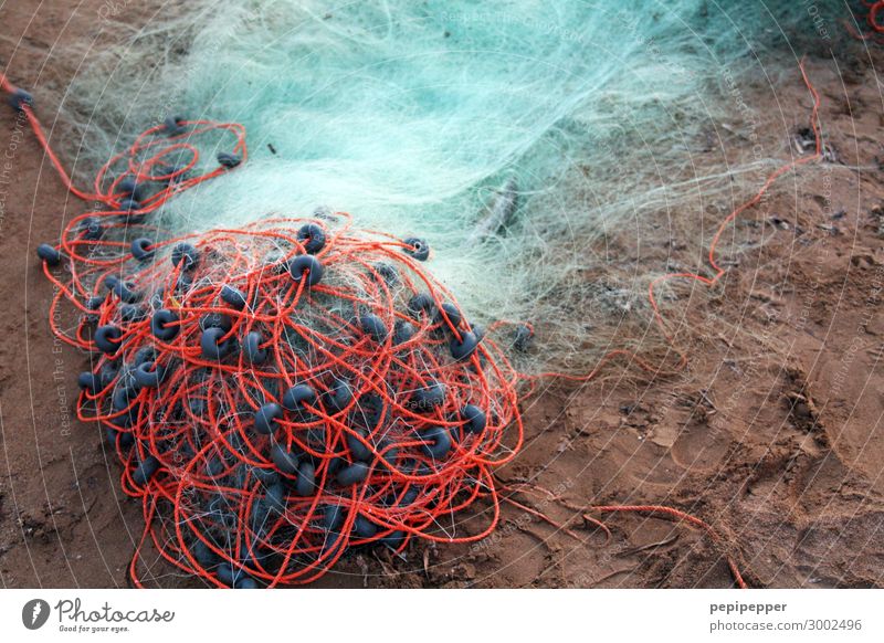 fishing net Fish Leisure and hobbies Fisherman Sand Beach Fishing boat Fishing net Plastic Sphere Brown Red Turquoise Colour photo Subdued colour Exterior shot