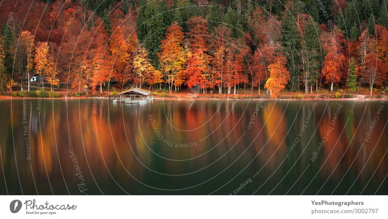 Autumn forest and water reflection panoramic view Calm Vacation & Travel Environment Nature Landscape Tree Leaf Forest Lake Wood Green Red Colour Germany