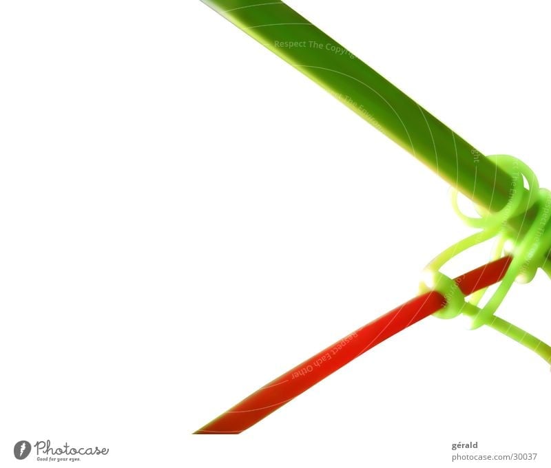 nature graphic Plant Stalk Macro (Extreme close-up) Red Green White Illustration Nature