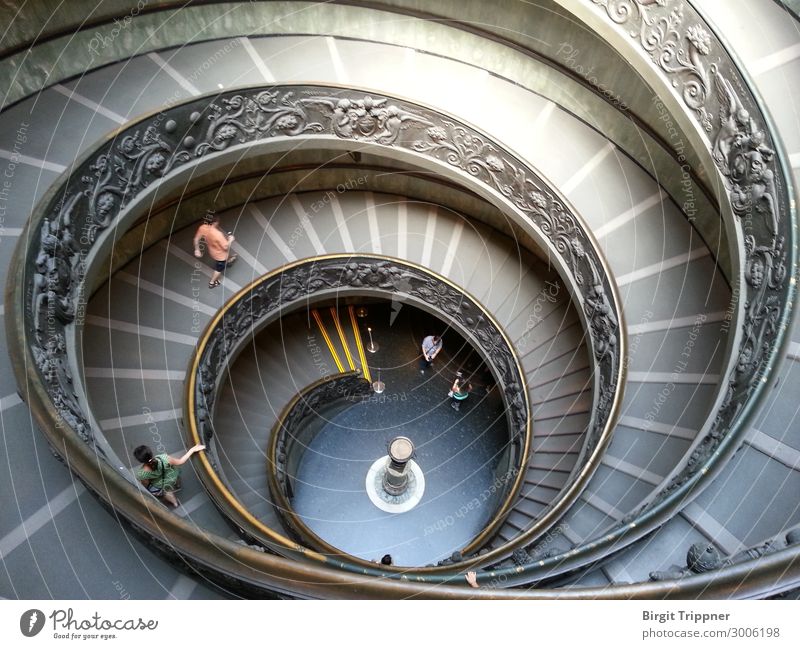 spiral staircase Architecture Stairs Vatican museum Esthetic Brown Gold Gray Silver Calm Contentment Beautiful Subdued colour Interior shot Artificial light