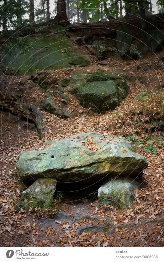 Hunebed in the forest Nature Landscape Autumn Forest Manmade structures megalithic tomb Stone Old Stone block Exterior shot Copy Space top Copy Space bottom