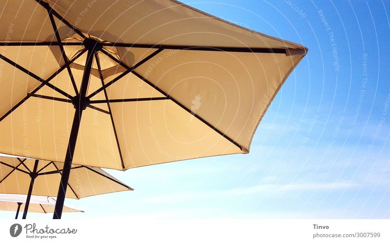beige parasols against blue sky Sky Sunlight Summer Climate Climate change Beautiful weather Protection Vacation & Travel Sunshade Weather protection Warmth