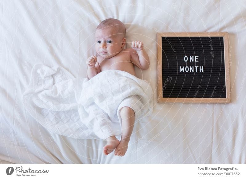 portrait of a beautiful baby at home on bed. Daytime and family Beautiful Skin Face Relaxation Child Human being Baby Boy (child) Hand Sleep Dream Small New