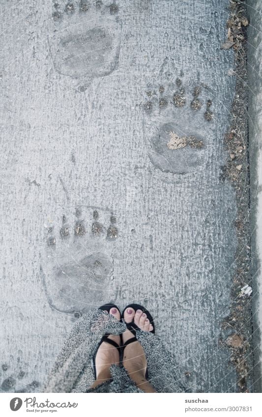 I'm following in whose footsteps. Footprint feet Imprint Bear Polar Bear Woman Flip-flops Lanes & trails succession follow sb. follow in footsteps Complain