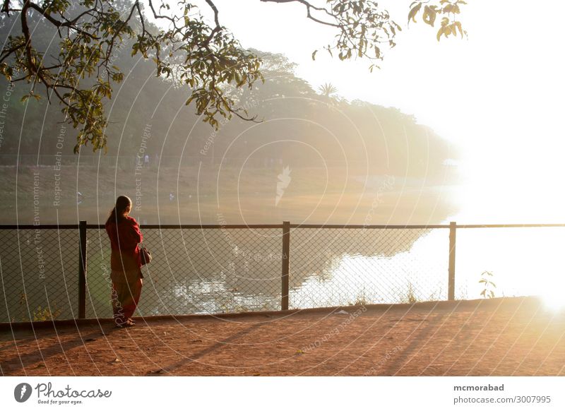 Light Burst on Misty Morning Sightseeing Child Young woman Youth (Young adults) 1 Human being 8 - 13 years Infancy Environment Nature Landscape Fog Tree Pond