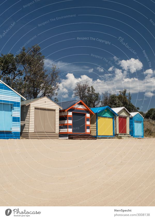 a day at the beach Vacation & Travel Tourism Summer vacation Sunbathing Beach Ocean Environment Nature Sky Clouds Beautiful weather Tree Melbourne Hut Esthetic