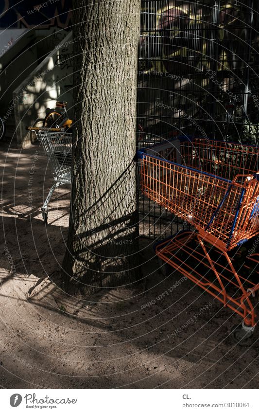 Shopping Cart Beautiful weather Tree Shopping Trolley Trade Logistics Supermarket Shopping district Shopping center Colour photo Exterior shot Deserted