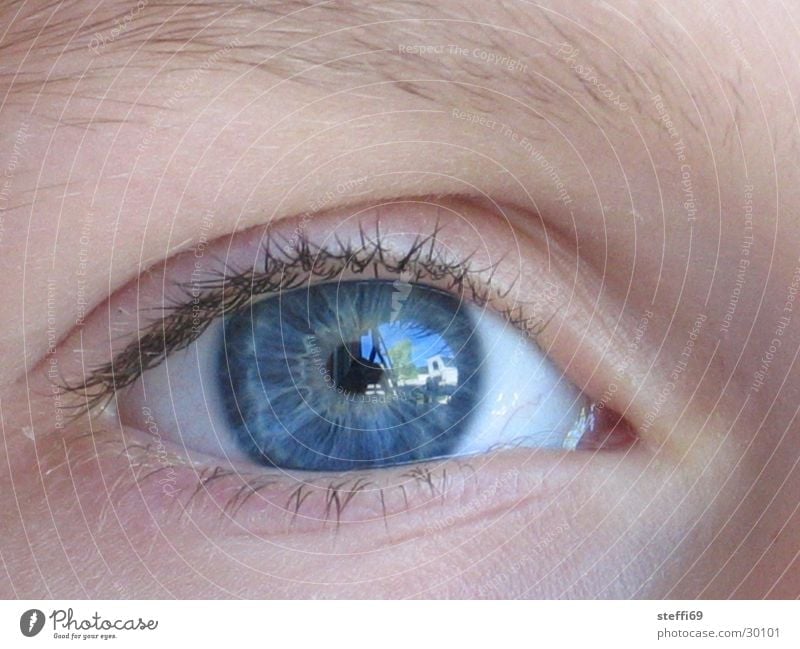 ophthalmoscopy Reflection Eyelash Pupil Children's eyes Human being Eyes blue eyes Close-up