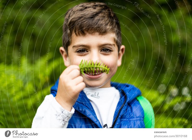 Little boy playing with ferns in the woods Lifestyle Joy Happy Beautiful Leisure and hobbies Vacation & Travel Tourism Adventure Summer Mountain Hiking Sports