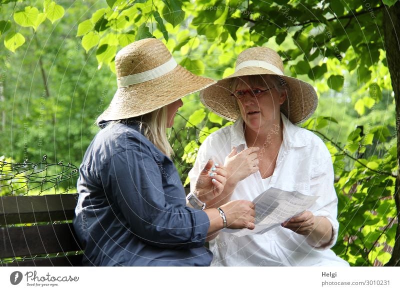 Two women with sun hats sit outside on a bench and discuss Human being Woman Adults Friendship 2 45 - 60 years Environment Nature Plant Tree Leaf Park Clothing