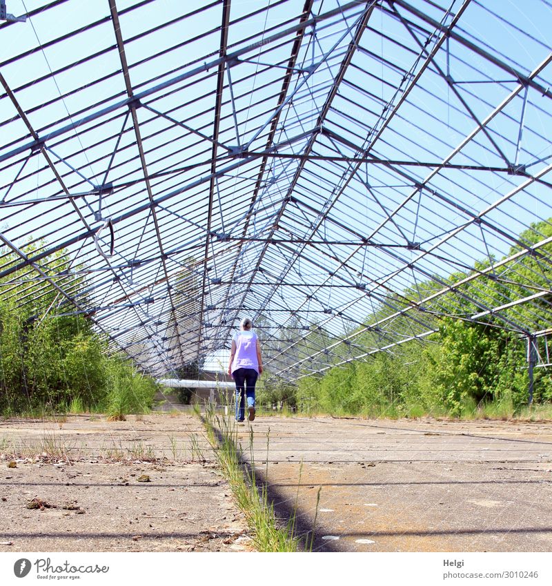 Rear view of a woman in a huge abandoned greenhouse Human being Feminine Woman Adults Senior citizen 1 60 years and older Grass Bushes Manmade structures