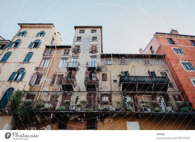 Verona Town Downtown House (Residential Structure) Building Wall (barrier) Wall (building) Facade Old Tourism Colour photo Exterior shot Deserted Day