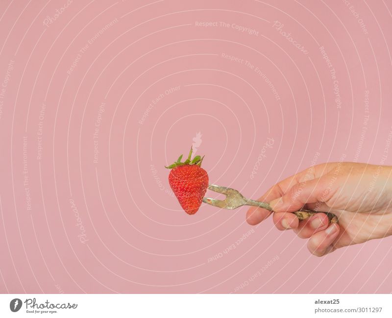 Hand with strawberry and old fork on pink background Fruit Dessert Diet Fork Beautiful Summer Human being Woman Adults Nature Fresh Delicious Juicy Green Pink