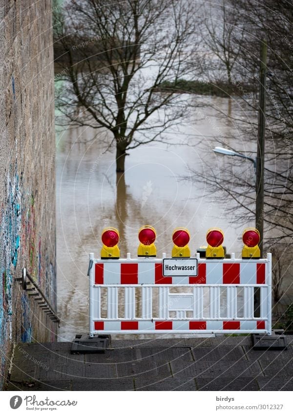 high water Autumn Winter Climate change Bad weather Storm Tree River Rhine Wall (barrier) Wall (building) Stairs Sign Characters Signs and labeling Signage