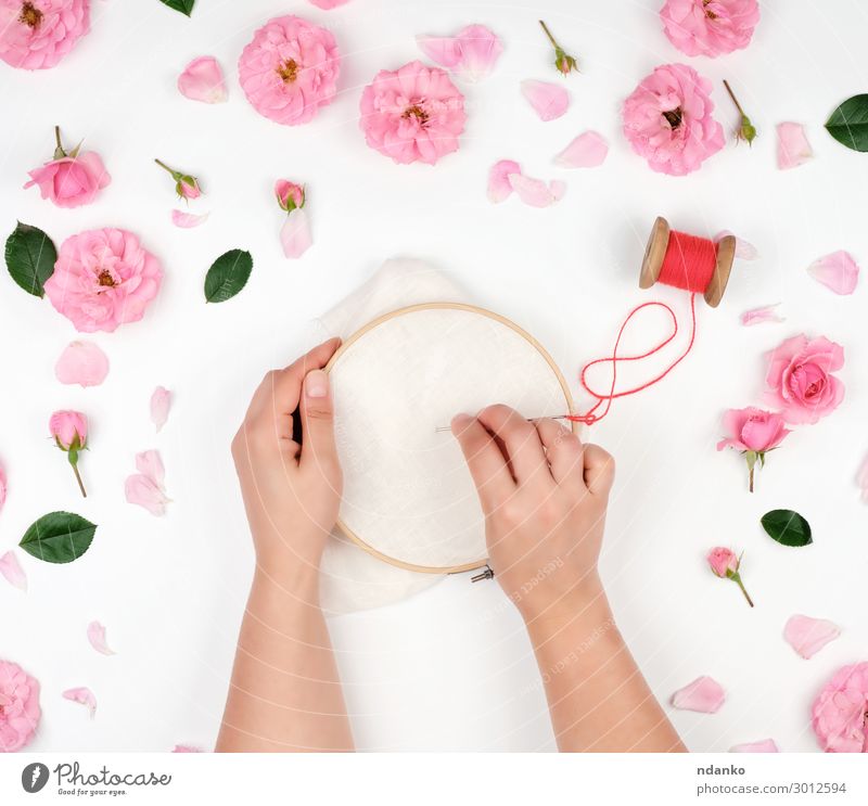 two female hands holding a round wooden hoop Leisure and hobbies Handicraft Decoration Work and employment Craft (trade) Woman Adults Art Flower Fashion Cloth