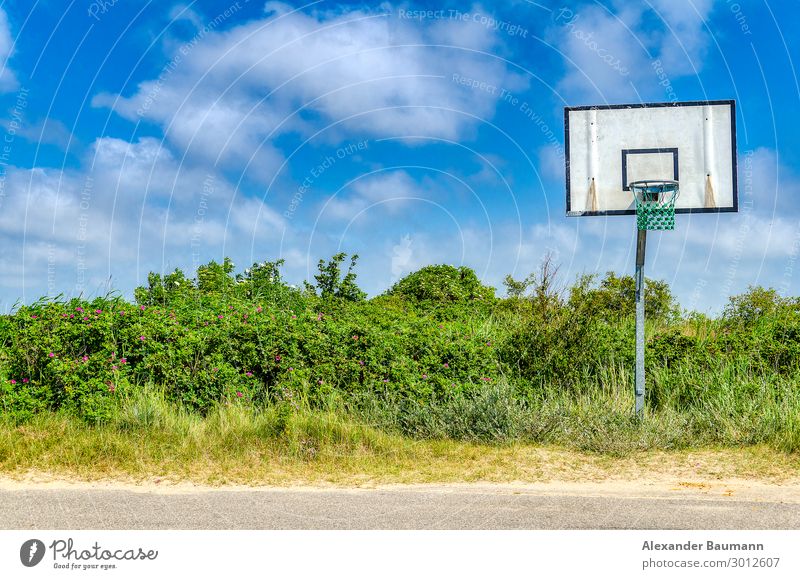 Basketball basket in landscape Sports Ball sports Sky Clouds Bushes Deserted Street Fitness Longing Loneliness Uniqueness Leisure and hobbies Colour photo