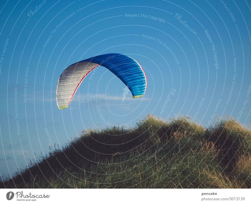 Airy with umbrella, charm and... Sports Nature Landscape Beautiful weather Grass Coast North Sea Flying Free Maritime Paraglider Paragliding Dune Marram grass