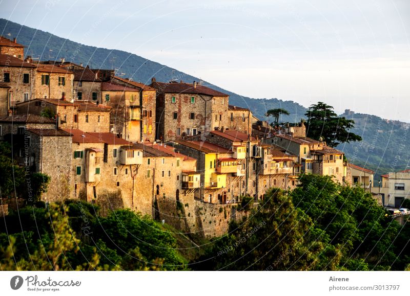 building upon each other Sightseeing Beautiful weather Hill Slope Tuscany Italy Village Small Town Old town House (Residential Structure) Facade Firm Cuddly