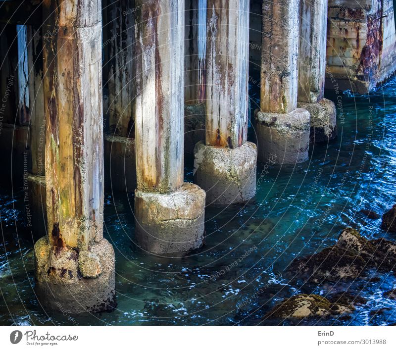 Close Up Aging Pier Pilings in Blue Clear Sea Lifestyle Design Vacation & Travel Tourism Ocean Industry Art Nature Landscape Coast Stone Old Historic Wet White