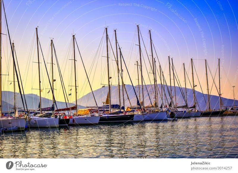 Sailboats in the port at sunset Beautiful Relaxation Leisure and hobbies Vacation & Travel Tourism Trip Adventure Cruise Summer Summer vacation Ocean Island