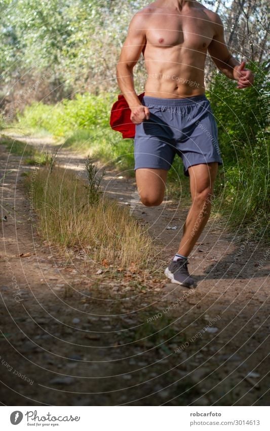 runner running shirtless through the field Lifestyle Body Summer Sports Jogging Human being Man Adults Nature Sky Lanes & trails Fitness Hot Muscular fit young