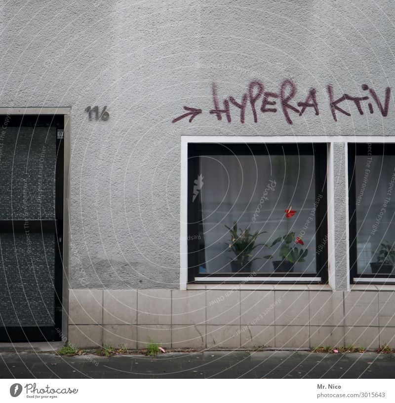 HYPERACTIVE Town House (Residential Structure) Building Architecture Wall (barrier) Wall (building) Window Door Gray Graffiti Digits and numbers Flower vase
