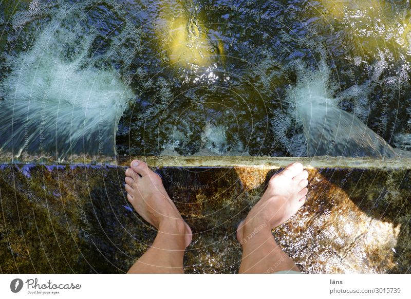 Heatwave l Feet in the water Human being Masculine Man Adults Legs 1 Water Park Stand Fluid Wet Beginning Relaxation Stagnating Lanes & trails Refrigeration