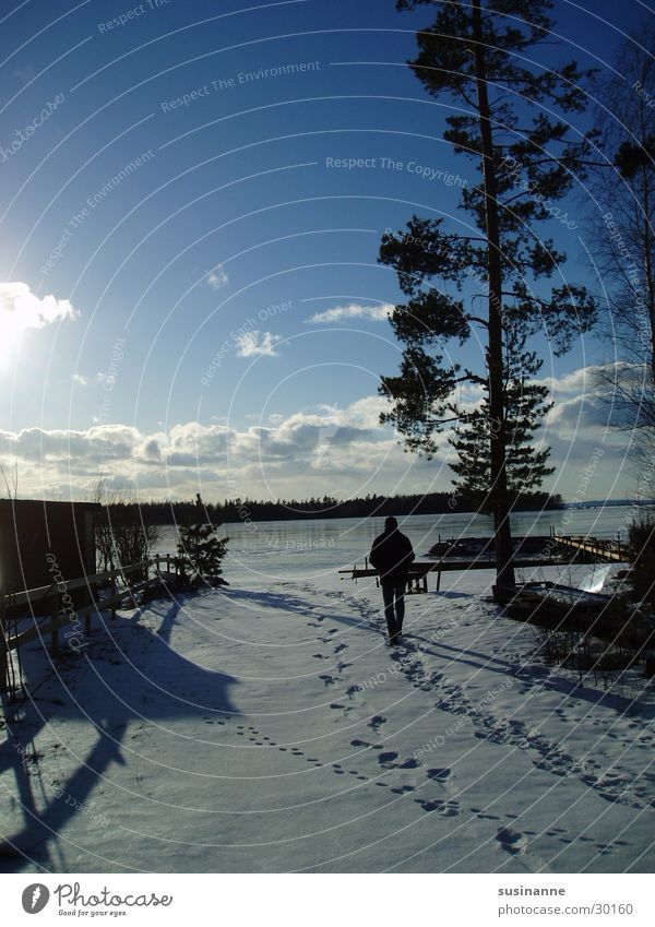 on vättern 3 Vättern lake Motala Lake Winter Pine Snow Sweden Tracks