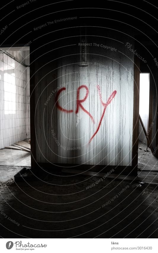 cry House (Residential Structure) Loneliness Uninhabited Dark Bright Fear Eerie