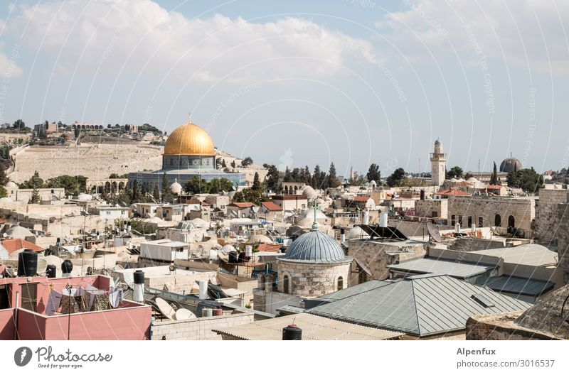 Jerusalem West Jerusalem Palestine Israel Old town Church Mosque Tourist Attraction Landmark Dome of the rock Mount of olives Al-Aksa mosque Aggression