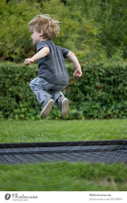 Boy jumps on a trampoline Joy Happy Leisure and hobbies Playing Fitness Sports Training Human being Masculine Child Boy (child) Infancy 1 3 - 8 years