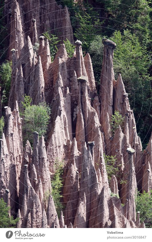 Earth pyramids on the Ritten near Lengmoos Earth-pillar Alps Bolzano earth pillar earth pyramid Erosion Geology longomoso Nature Miracle of Nature South Tyrol