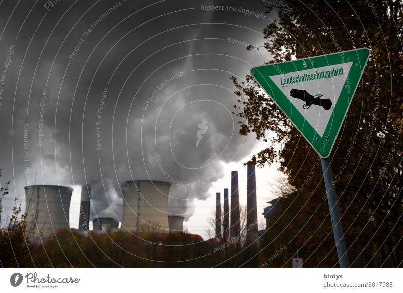 Bizarre, obsolete Neurath lignite-fired power plant in a landscape conservation area Energy industry Coal power station Climate change cooling tower Tree