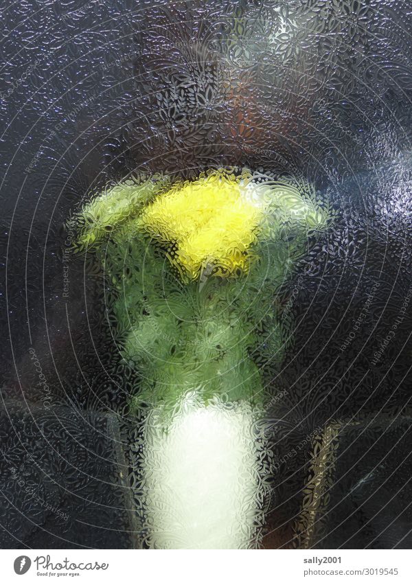 Bouquet behind ornamental glass flowers Flower vase Frosted glass Window blurred Decoration Vase Yellow flower decoration blossom Adornment
