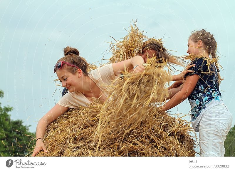 Three girls playing in the straw. Human being Feminine Child Girl Young woman Youth (Young adults) Brothers and sisters Friendship Infancy Group Nature Summer