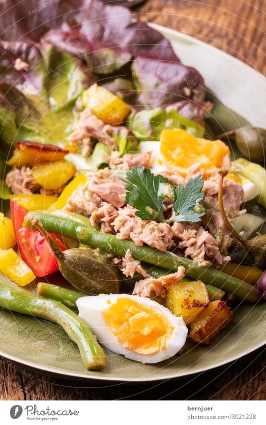 salade nicoise Seafood Vegetable Nutrition Vegetarian diet Diet Plate Restaurant Fresh Delicious Lettuce Gourmet Fish Egg Tomato salubriously Cooking Healthy