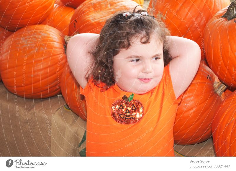 Child in the Pumpkin Patch Contentment Thanksgiving Hallowe'en Human being Feminine Toddler Girl Face 1 3 - 8 years Infancy Event Digital photography