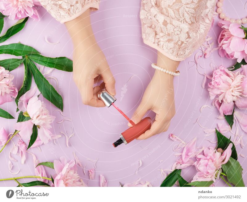 female hands with smooth fair skin keep liquid red lipstick Elegant Style Beautiful Skin Cosmetics Make-up Lipstick Wellness Feminine Woman Adults Arm Hand