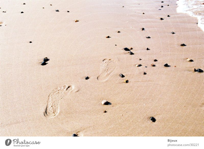 Traces in the sand :-) Footprint Beach Coast Loneliness Tracks Sand Feet Barefoot