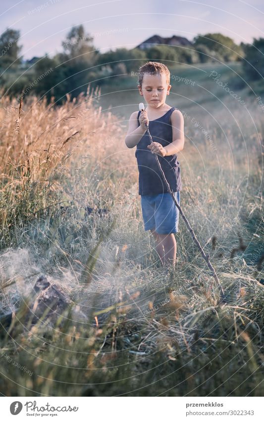 Little boy roasting marshmallow over a campfire Lifestyle Joy Happy Leisure and hobbies Vacation & Travel Summer Child Human being Boy (child) 1 3 - 8 years