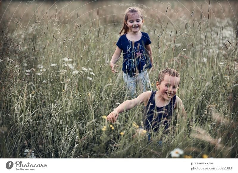 Little happy kids playing in a tall grass in the countryside. Candid people, real moments, authentic situations Lifestyle Joy Happy Relaxation Vacation & Travel