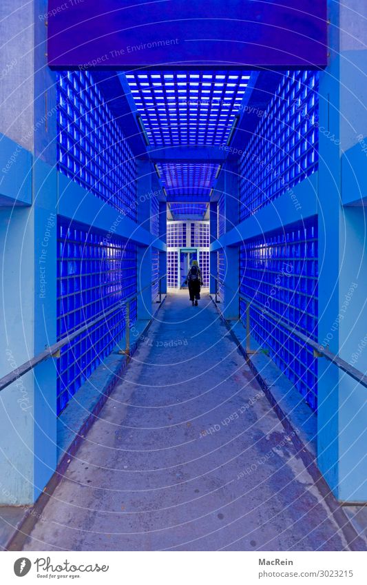 Blue Station Passage Human being Feminine Woman Adults 1 18 - 30 years Youth (Young adults) Train station Platform Elevator Stop (public transport) Glass block