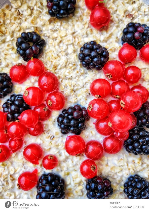 Fruity oat flakes Food Dairy Products Breakfast Healthy Eating Juicy Brown Red White Oat flakes Cereal Redcurrant Blackberry Colour photo Close-up Detail