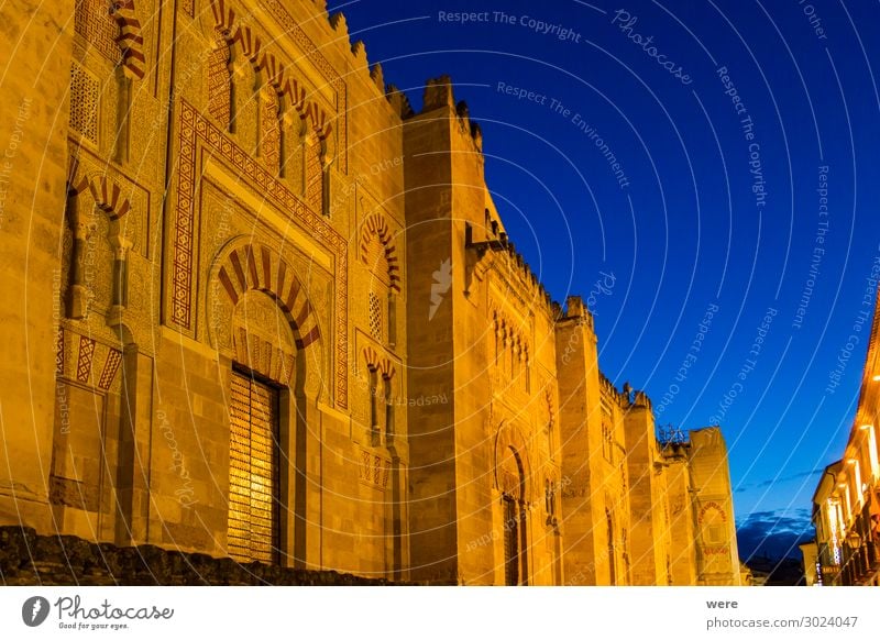 Illuminated facade of the Mezquita in Cordoba at the Blue Hour Spain Europe Palace Building Facade Old Authentic Gold Andalusia Historic facades holiday