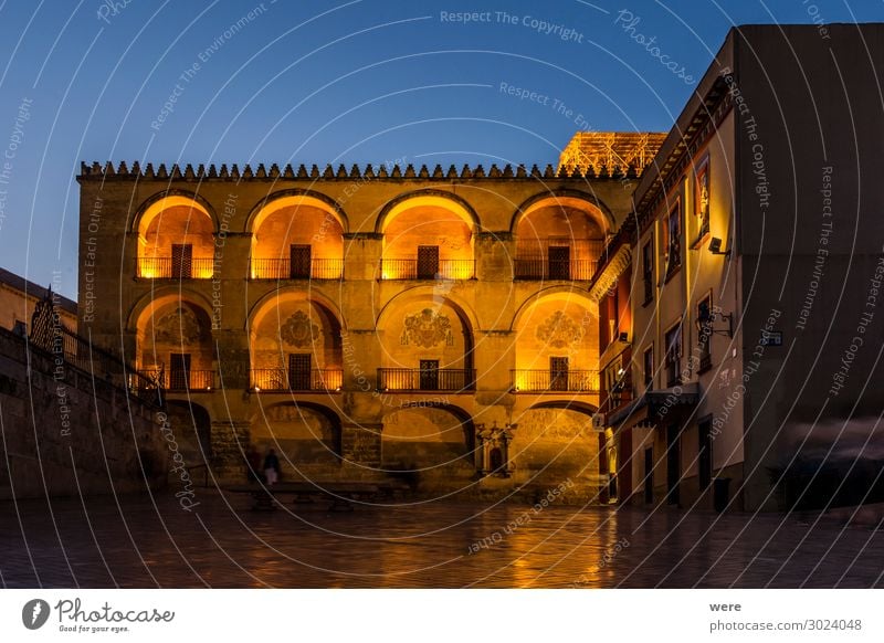 Illuminated facade of the Mezquita in Cordoba Manmade structures Building Facade Tourist Attraction Old Andalusia Historic facades holiday Roman bridge spain