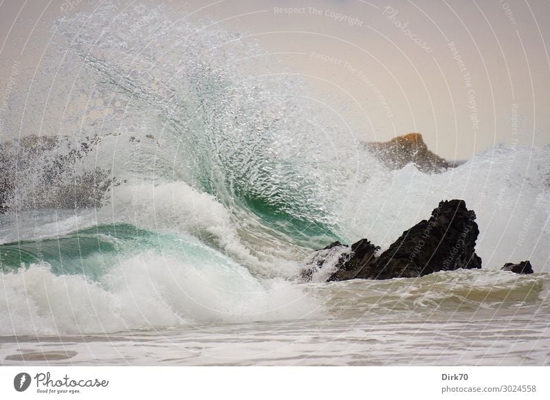 Freak Wave Environment Nature Landscape Elements Water Weather Storm Wind Gale Rock Waves Coast Beach Ocean Biscay Atlantic Ocean Rocky coastline Surf