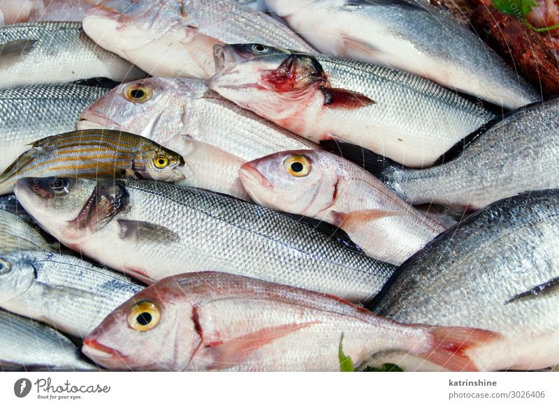 Mixed fish for sale on a market Seafood Nutrition Ocean Fresh Italy South mediterranean paca Provence Sale fisherman fishmonger Raw fishing Mediterranean sea
