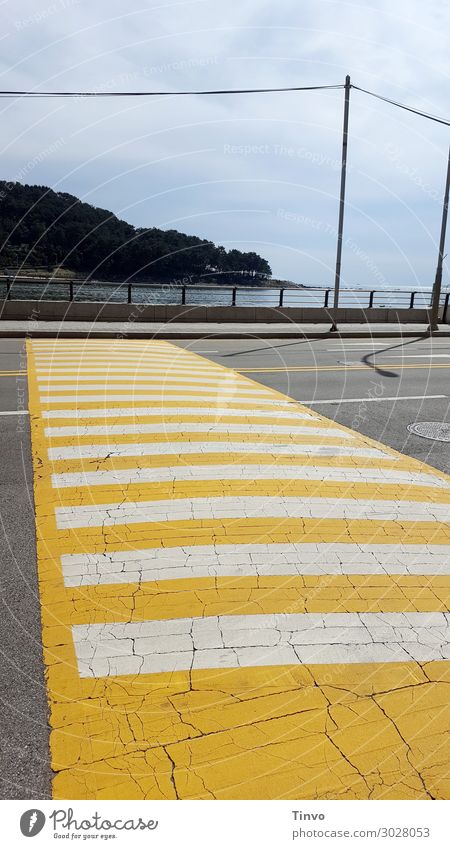 Pedestrian crossing in South Korea Traffic infrastructure Street Yellow White Safety Urban traffic regulations Pavement Striped Multi-line Colour photo
