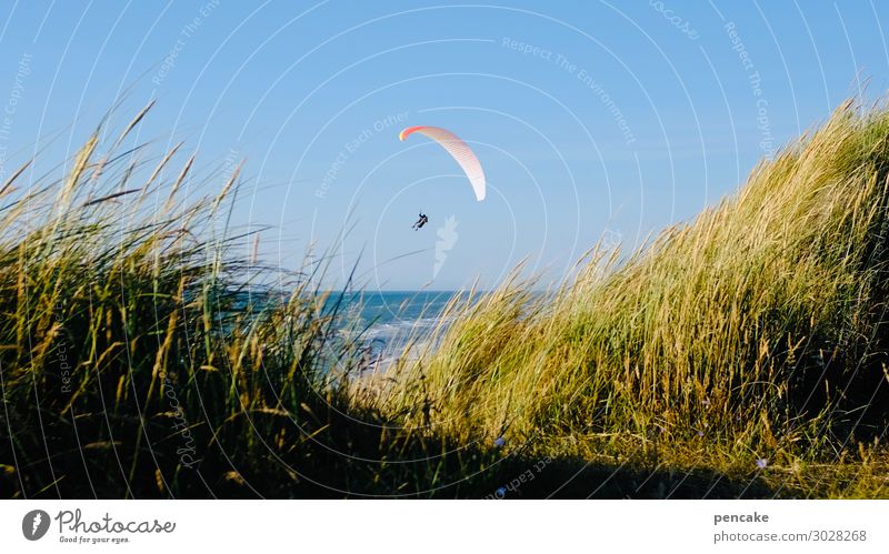 Airy through the middle. Leisure and hobbies Sports 1 Human being Nature Landscape Elements Sand Cloudless sky Summer Beautiful weather Coast North Sea Flying