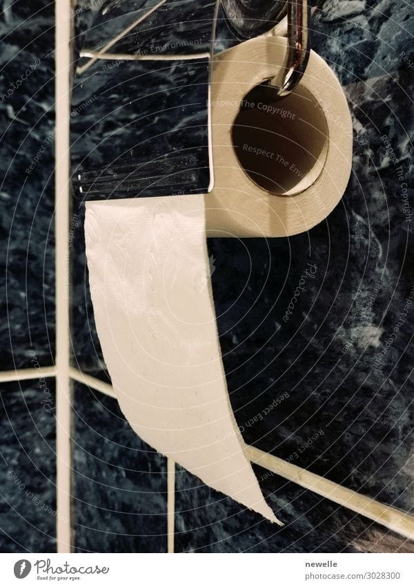 roll of toilet paper hanging on the toilet holder Design Bathroom Paper Metal Modern Clean Soft White Holder Hanging Handkerchief restroom wall Wipe background